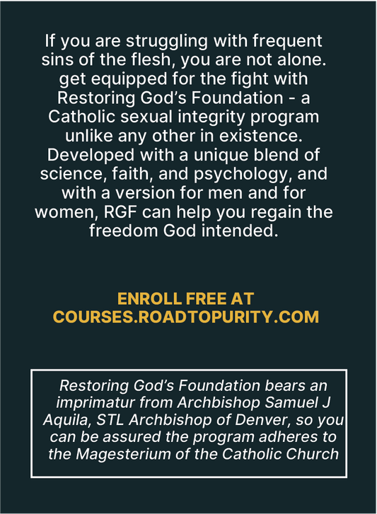 Restoring God's Foundation - PARISH SPONSORED ACCESS CARD