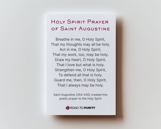 Holy Spirit Prayer of St Augustine - Holy Card original image 2