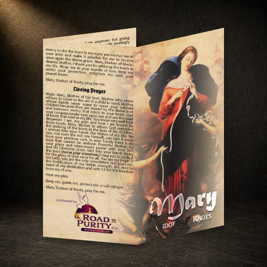 Mary Undoer of Knots Novena prayer card in a dark premium devotional setting