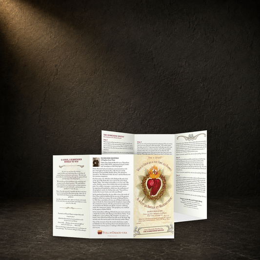 Surrender Novena prayer card in a dark premium devotional setting