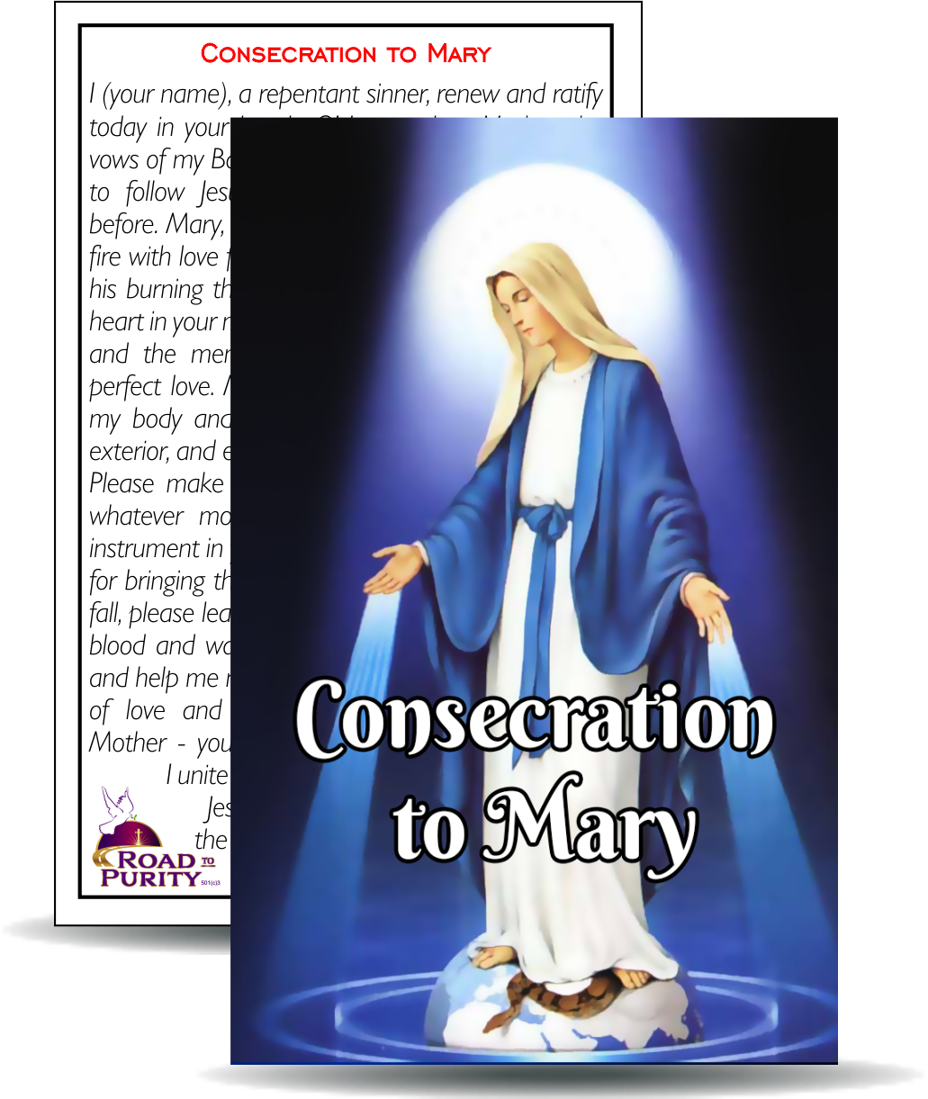 Consecration to Mary- Holy Card / 2 1/4"x 3 1/2" (b)