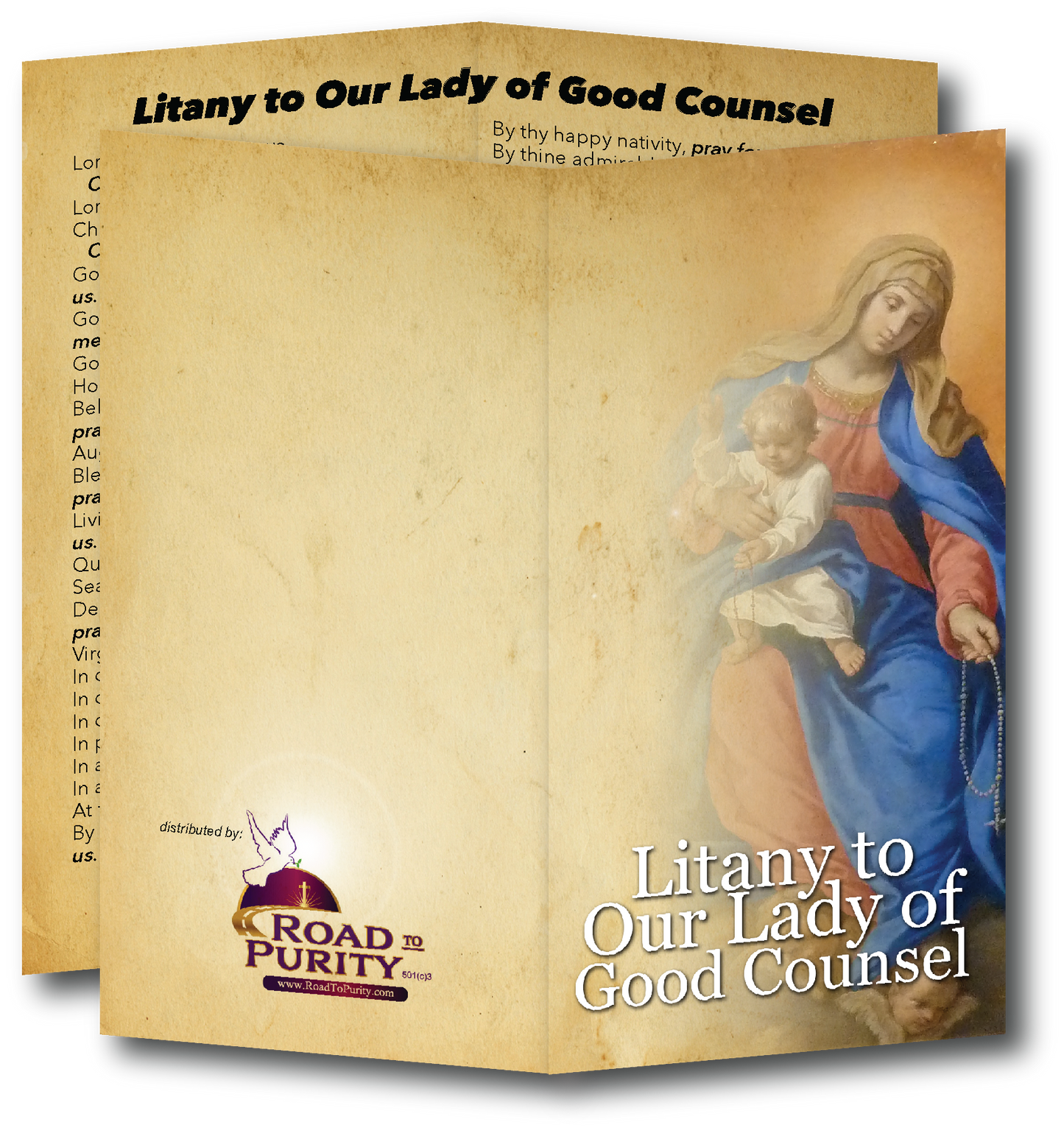 Litany to Our Lady of Good Counsel - Prayer Card / 3" x 6" folded