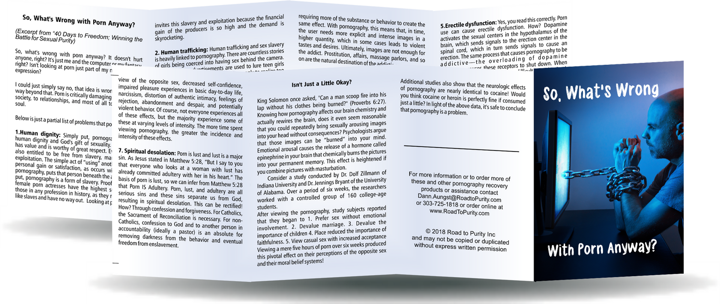 So What's Wrong with Porn Anyway? (CATHOLIC English Version) - 8pg mini pamphlet - Bulk from $25