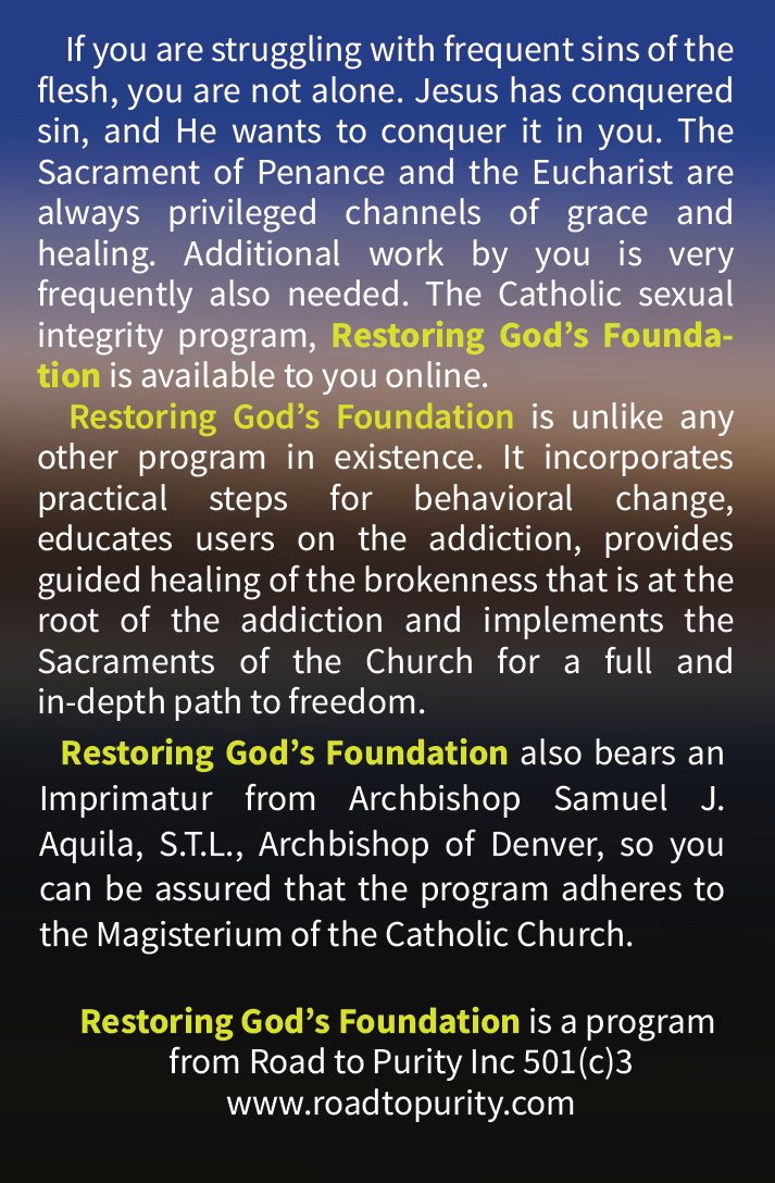 Restoring God's Foundation - PARISH SPONSORED ACCESS CARD (100 card bundle)
