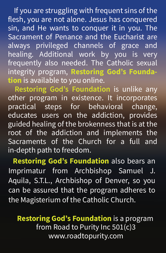 Restoring God's Foundation - PARISH SPONSORED ACCESS CARD (100 card bundle)