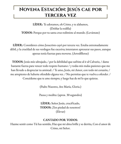 Stations of the Cross Spanish - WHOLESALE