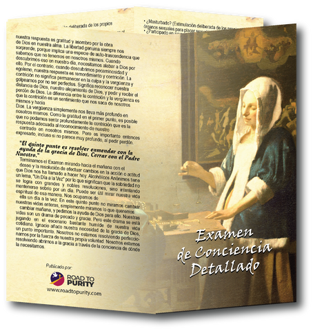 Detailed Examination of Conscience - Prayer Card -SPANISH