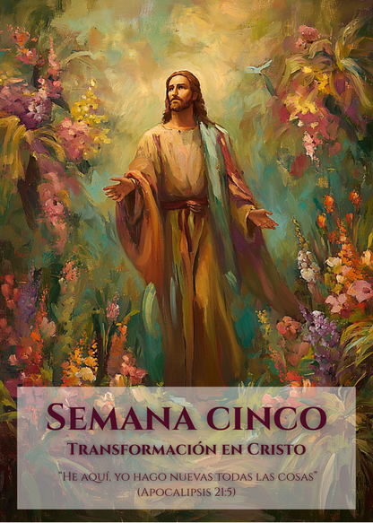 Return to Me: Lenten Prayer Guide: Spanish - WHOLESALE