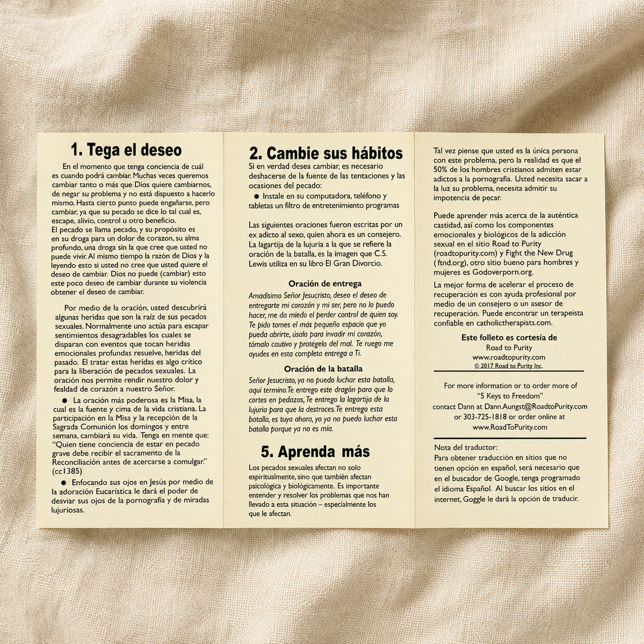 5 Keys to Freedom from Sexual Sin Spanish open interior