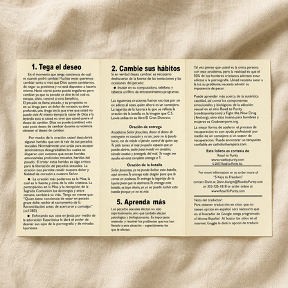 5 Keys to Freedom from Sexual Sin Spanish open interior