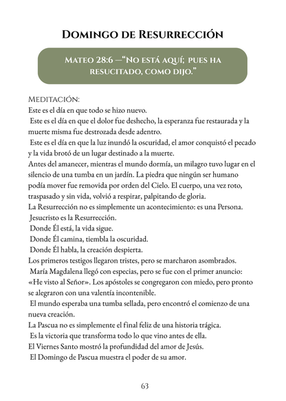 Return to Me: Lenten Prayer Guide: Spanish - WHOLESALE