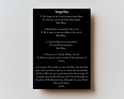 Marian Devotion Bundle