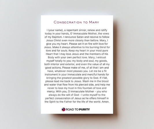 Consecration to Mary- Holy Card / 2 1/4"x 3 1/2" (b)