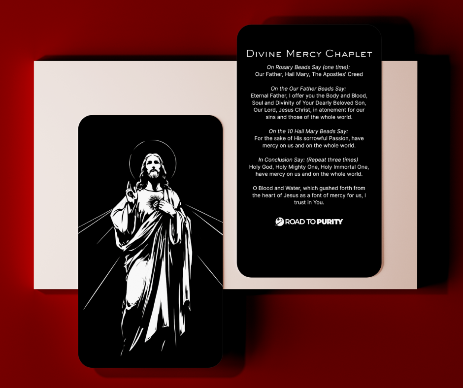 Divine Mercy Holy Card - PREMIUM METAL