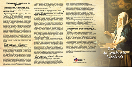 Detailed Examination of Conscience - Prayer Card -SPANISH