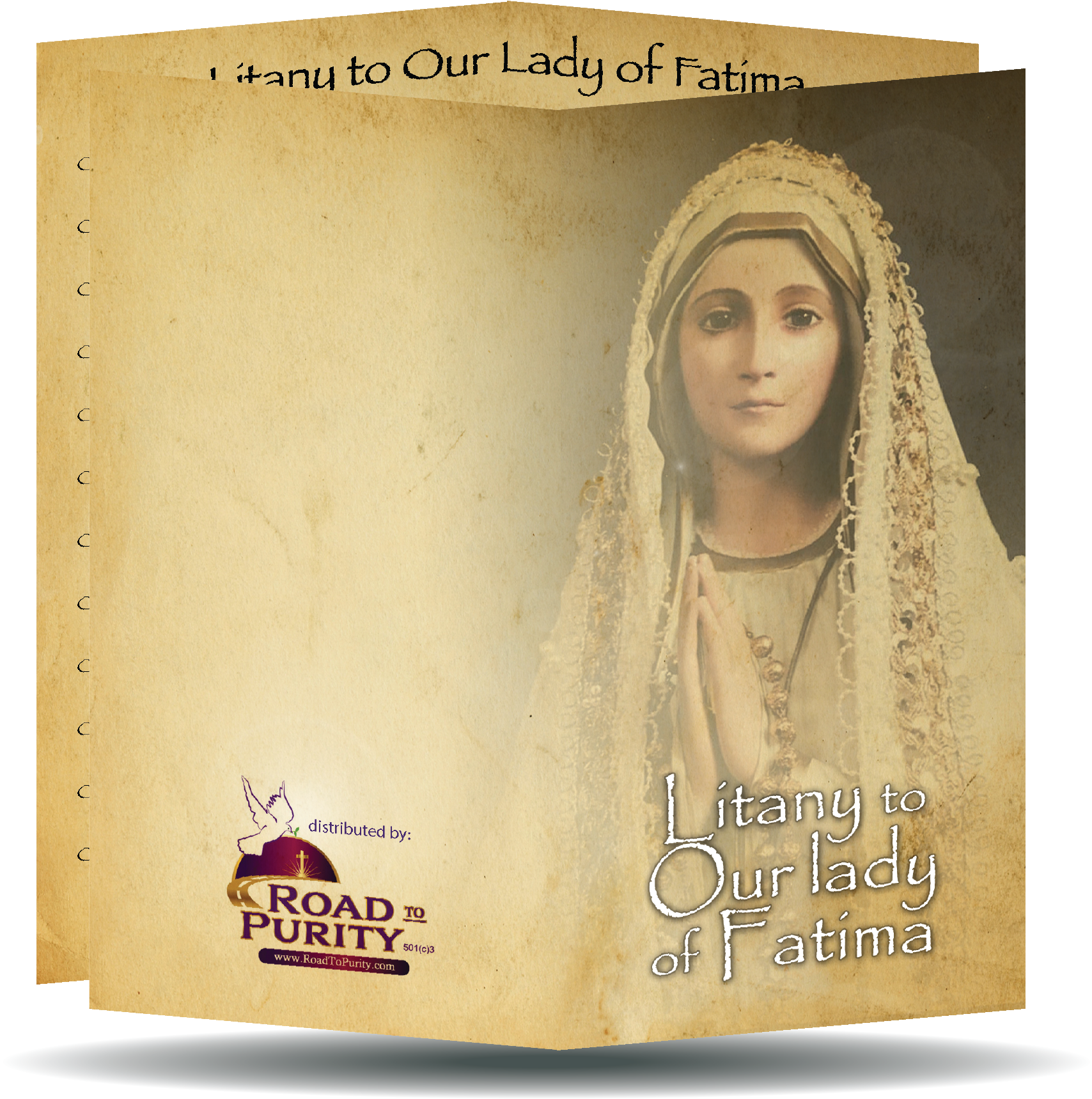 Marian Devotion Bundle original image 16