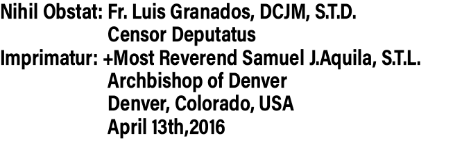 5 Keys to Freedom from Sexual Sin - 8pg mini pamphlet - ( CATHOLIC English version) Bulk from $25