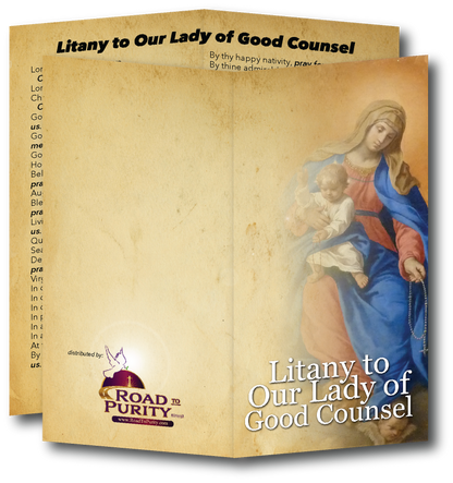 Litany to Our Lady of Good Counsel  - Prayer Card / 3" x 6" folded