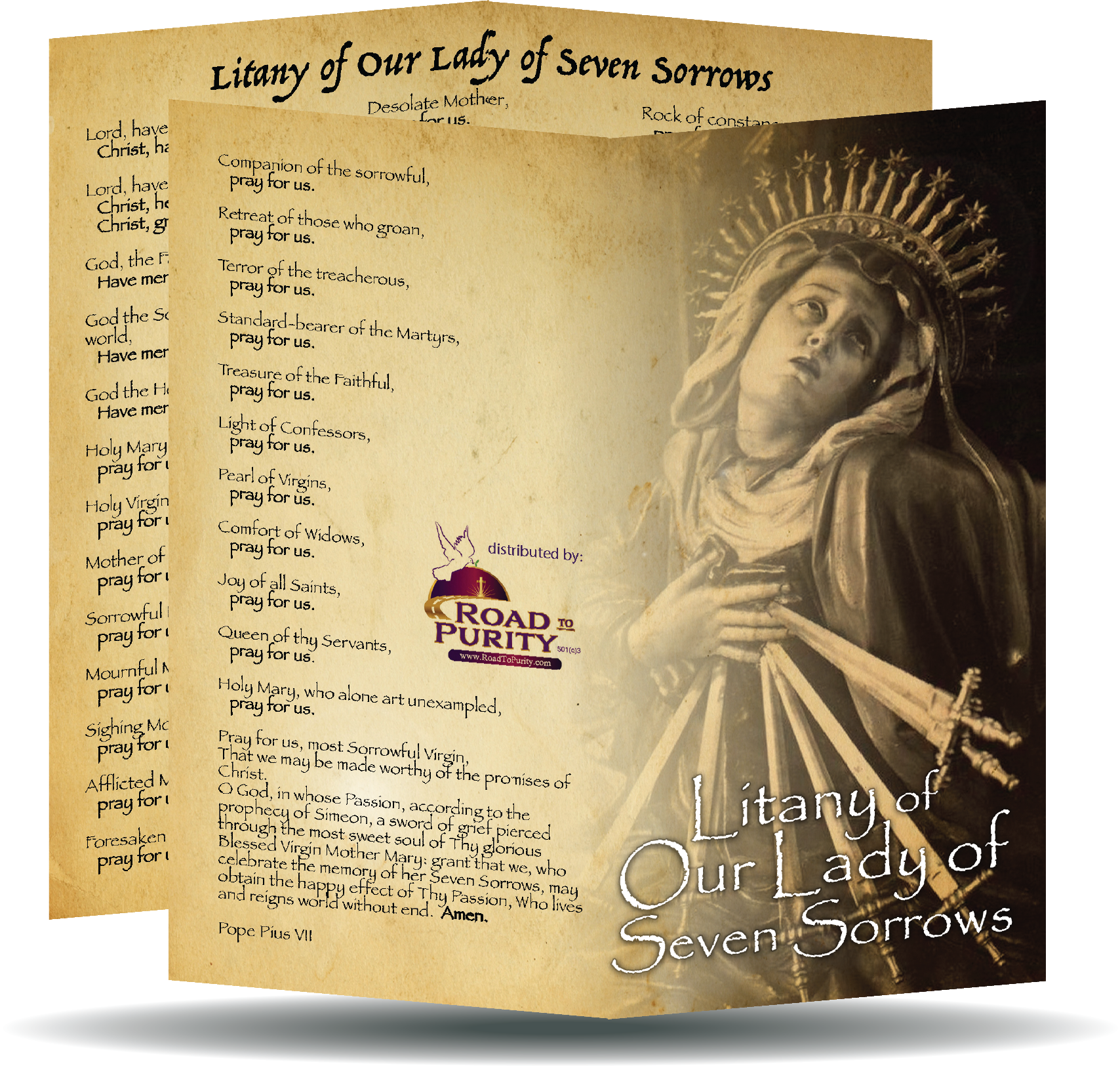 Marian Devotion Bundle original image 17