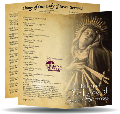 Marian Devotion Bundle original image 17