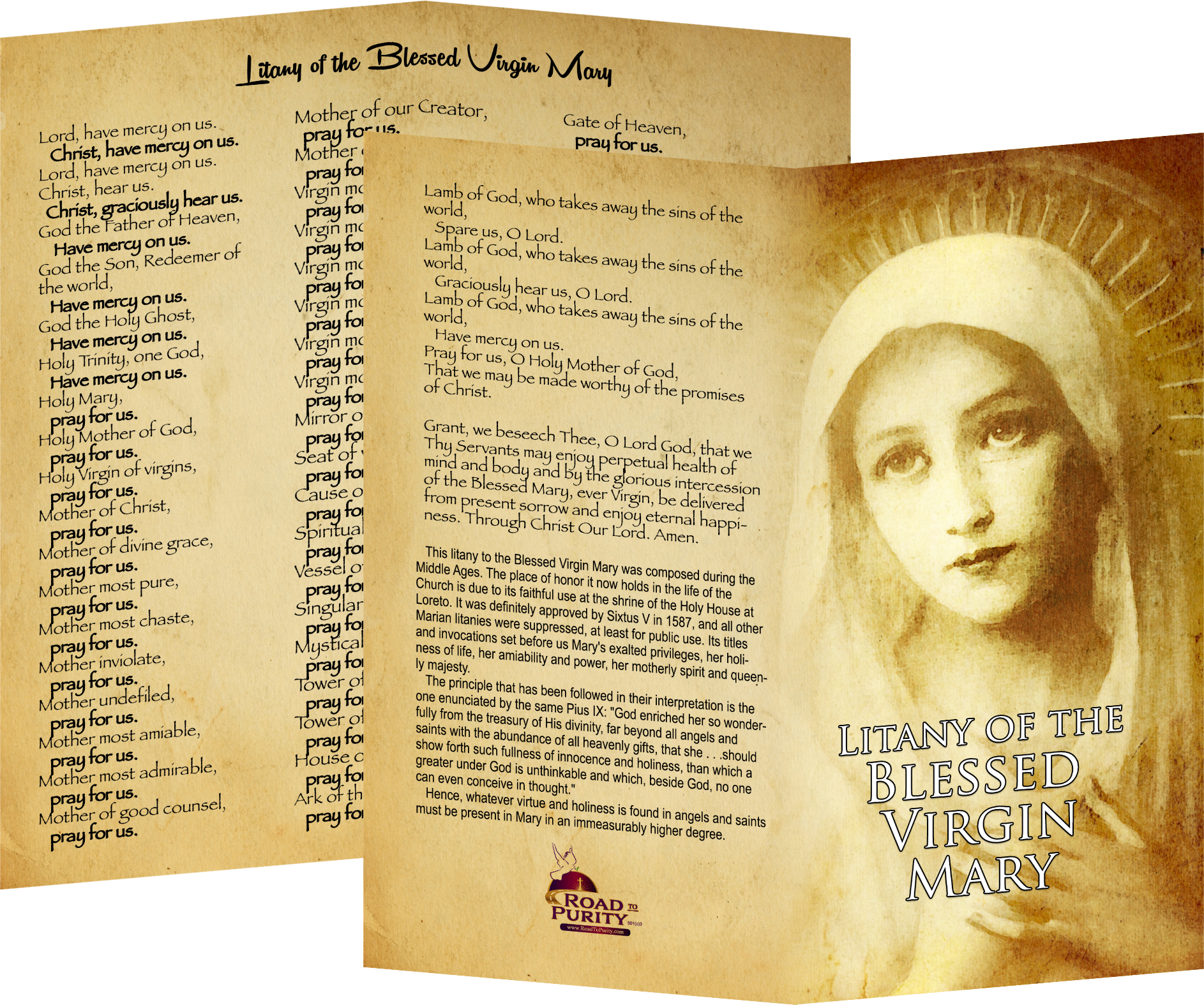 Marian Devotion Bundle original image 6