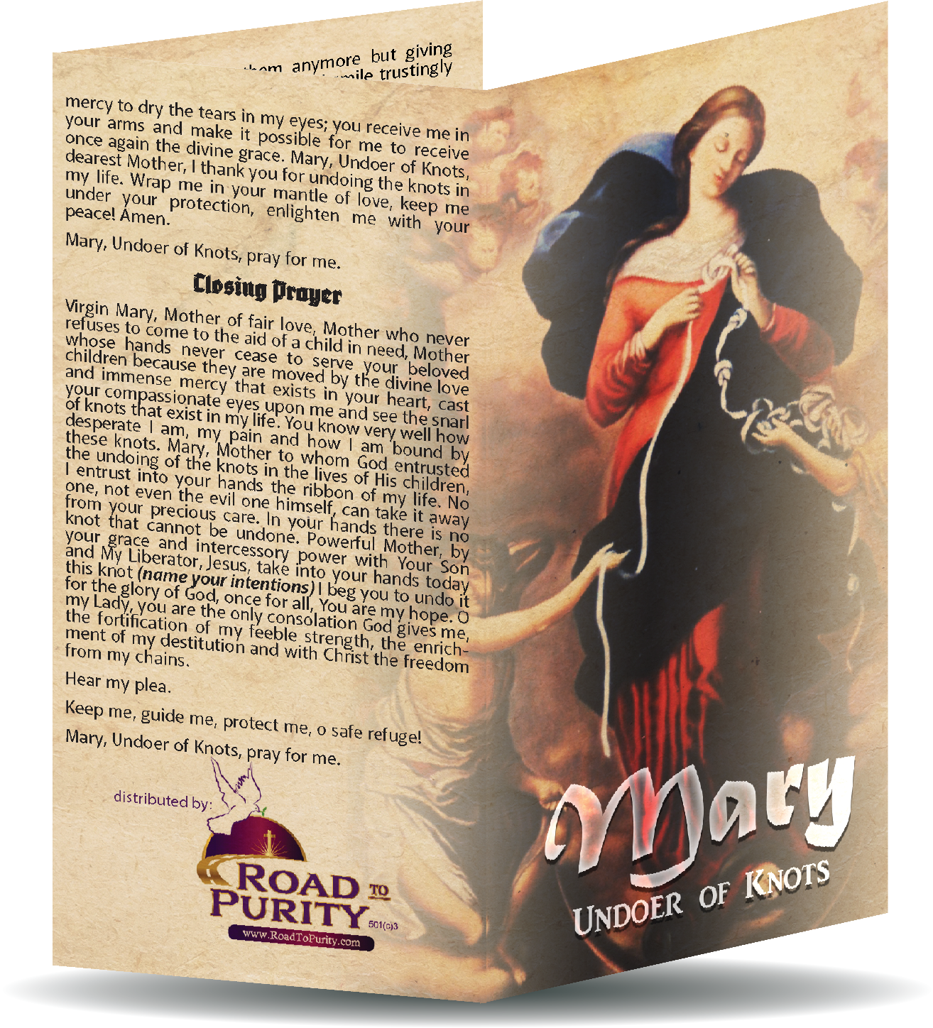 Marian Devotion Bundle original image 18
