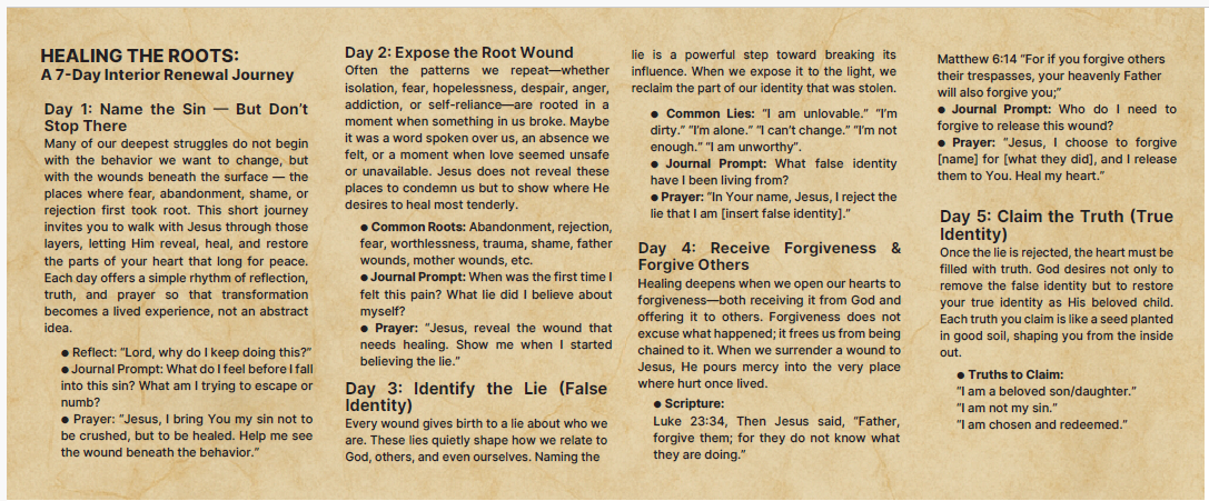 Healing the Roots - 8pg mini pamphlet