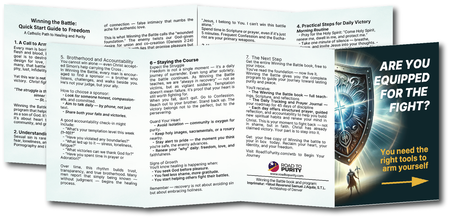 Winning the Battle - PARISH SPONSORED ACCESS PAMPHLET