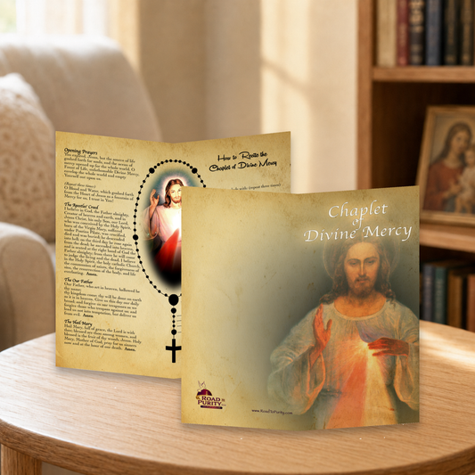 Chaplet of Divine Mercy - Prayer Card / 3x 6" folded — home mockup
