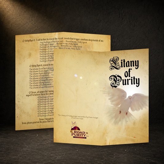 Litany of Purity prayer card in a dark premium devotional setting