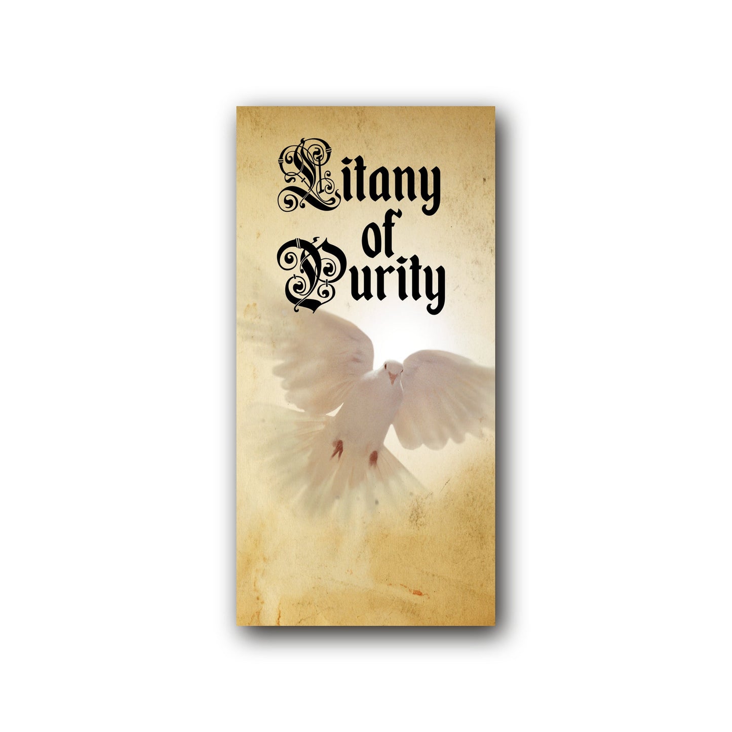 Litany of Purity - Prayer Card / 3" x 6" folded (w/Imprimatur) — front