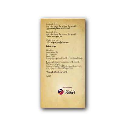 Litany to Our Lady of Lourdes  - Prayer Card / 3" x 6" folded — back