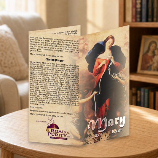 Mary Undoer of Knots novena  - Prayer Card / 3" x 6" folded — home mockup