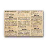 Mary Undoer of Knots novena  - Prayer Card / 3" x 6" folded — inside