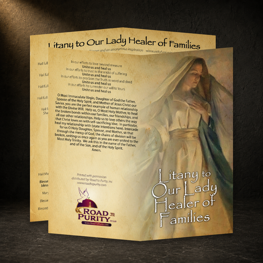 Litany to Our Lady Healer of Families prayer card in a dark premium devotional setting