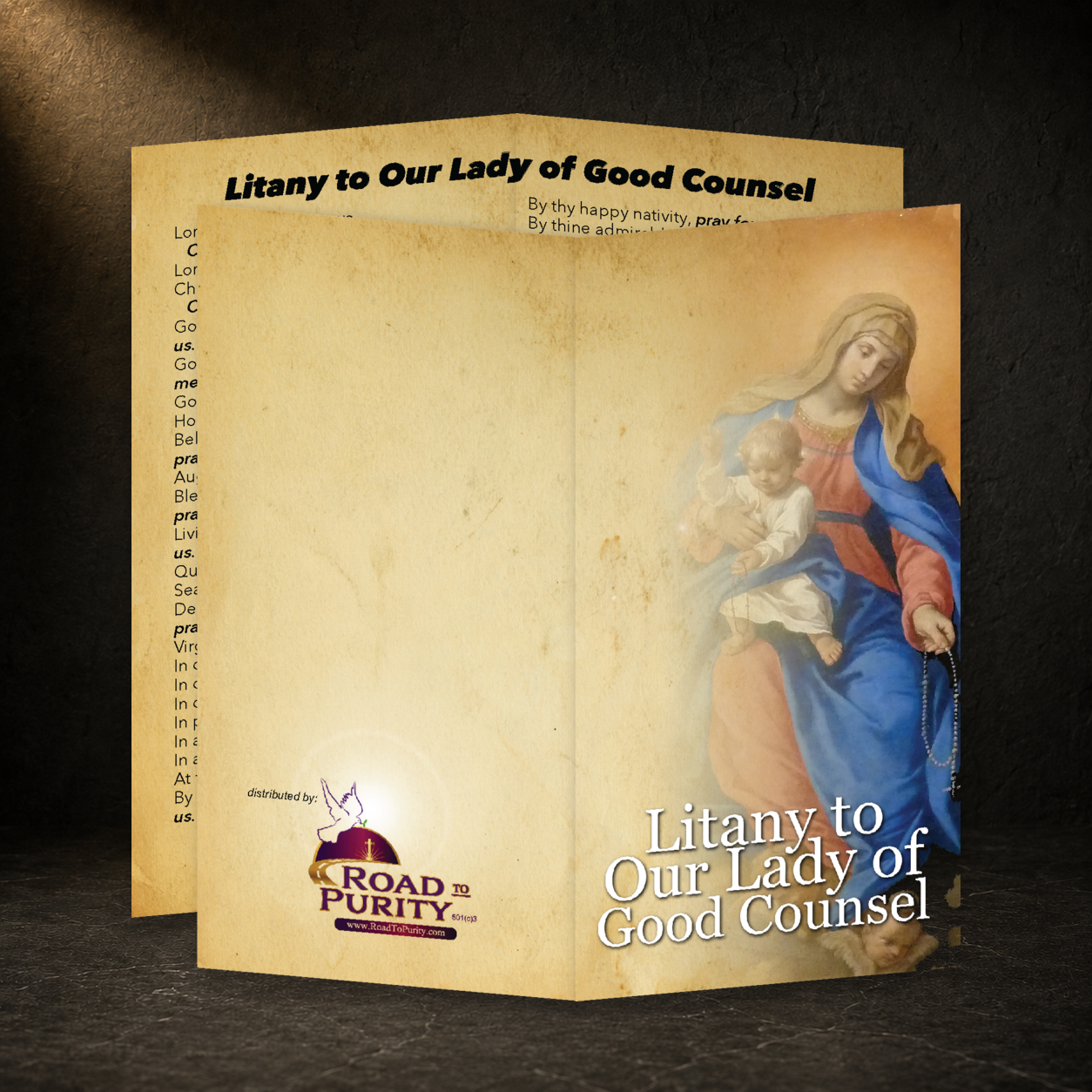 Litany to Our Lady of Good Counsel prayer card in a dark premium devotional setting