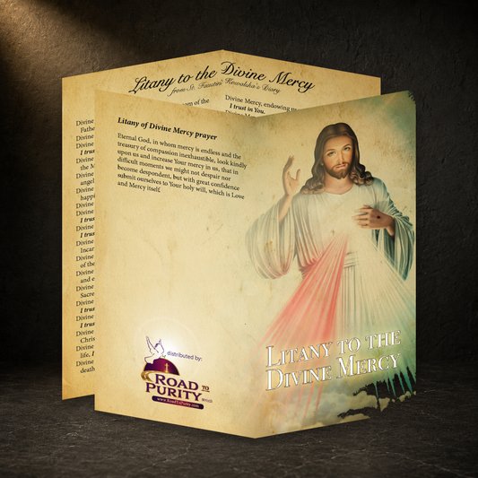 Litany to the Divine Mercy prayer card in a dark premium devotional setting