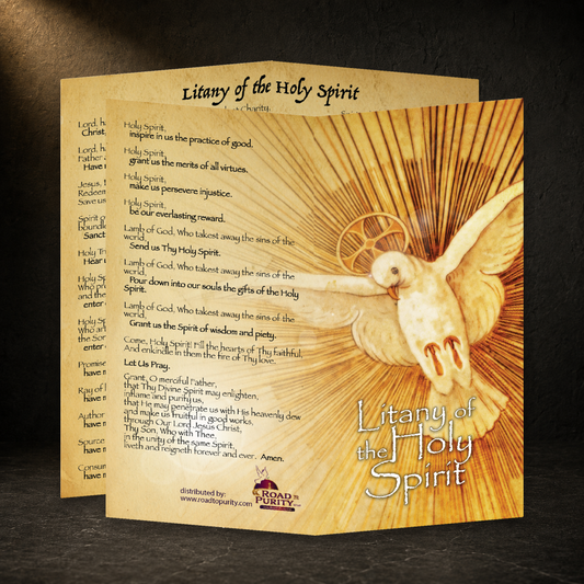 Litany to the Holy Spirit prayer card in a dark premium devotional setting