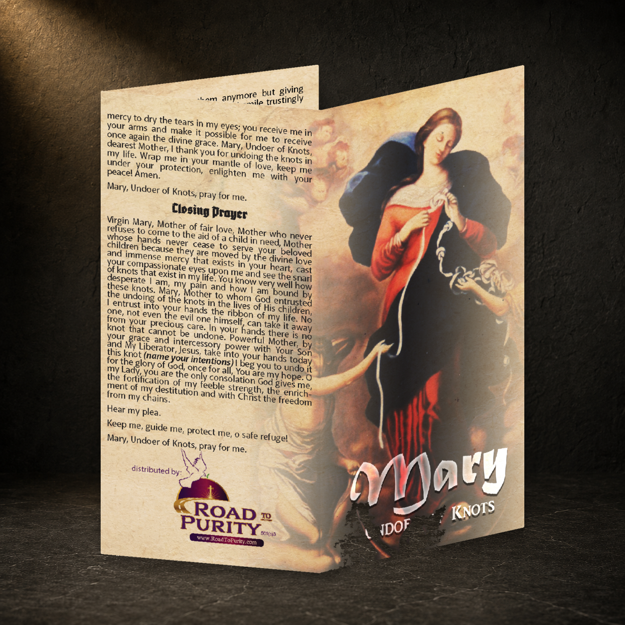 Mary Undoer of Knots Novena prayer card in a dark premium devotional setting