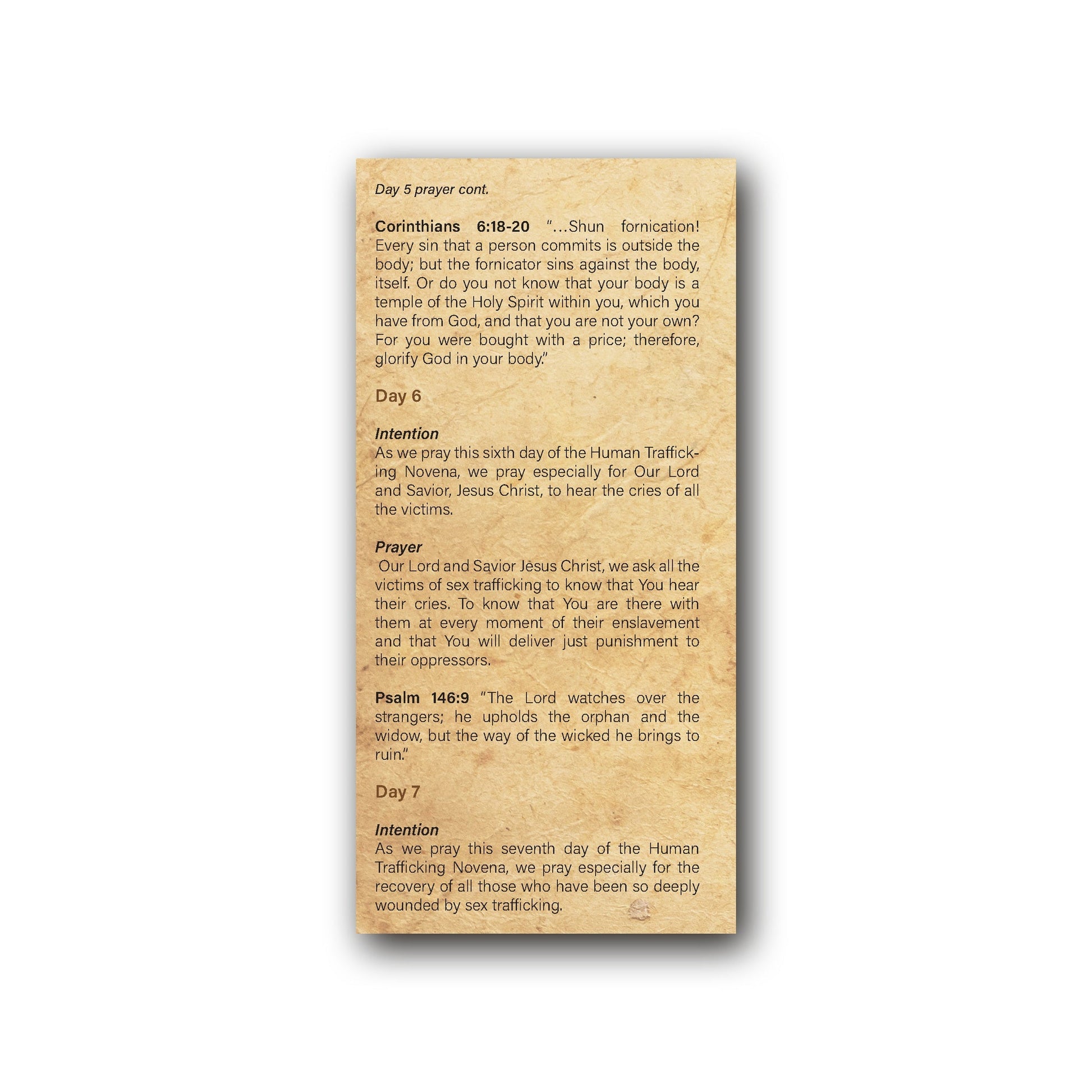 Novena to End Human Sex Trafficking - Prayer Card / 3" x 6" folded — back