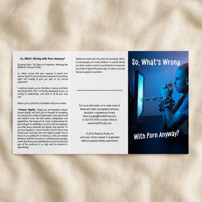 So What's Wrong with Porn Anyway English open exterior including front cover