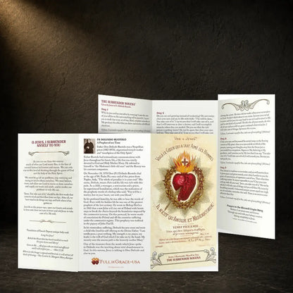 Surrender Novena prayer card in a dark premium devotional setting