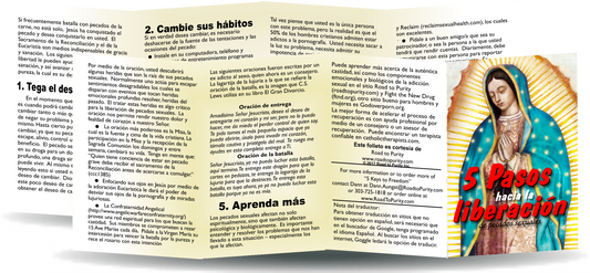 5 Keys to Freedom from Sexual Sin - 8pg mini pamphlet - ( CATHOLIC Spanish version) Bulk from $25