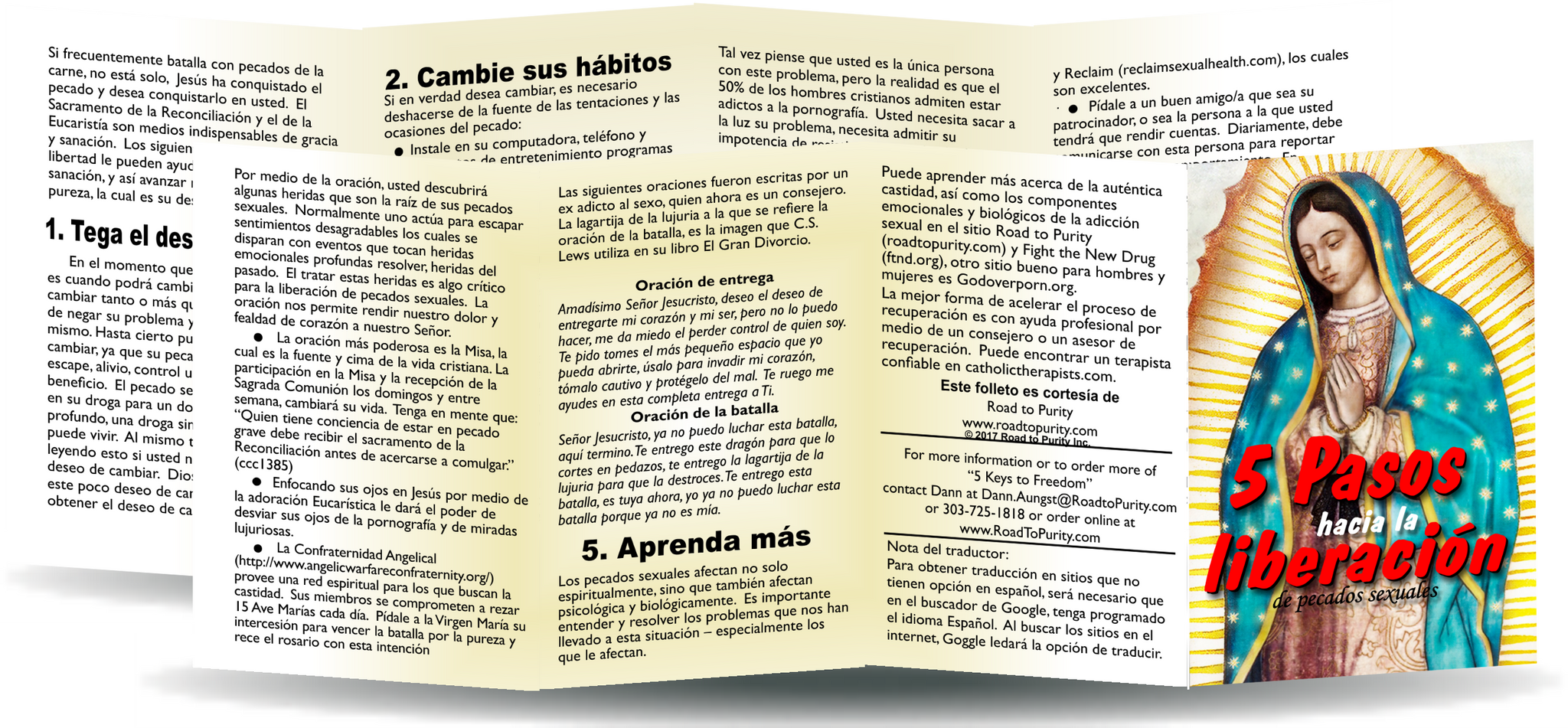 5 Keys to Freedom from Sexual Sin - 8pg mini pamphlet - ( CATHOLIC Spanish version) Bulk from $25