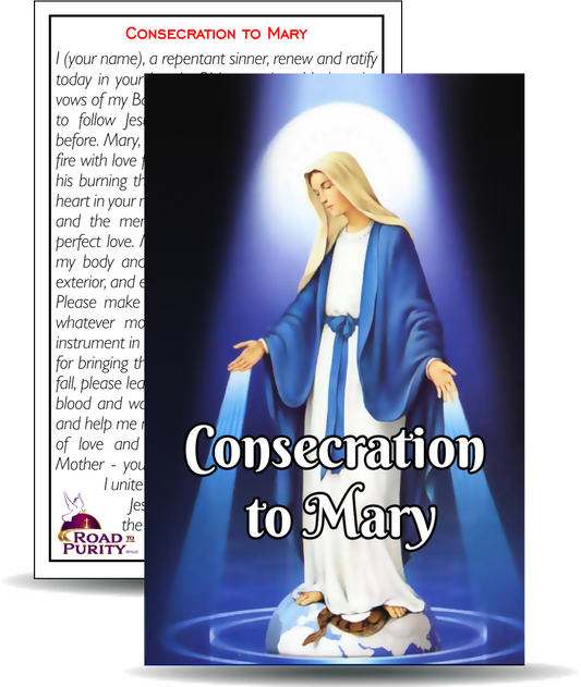 Consecration to Mary- Holy Card / 2 1/4"x 3 1/2" (b)