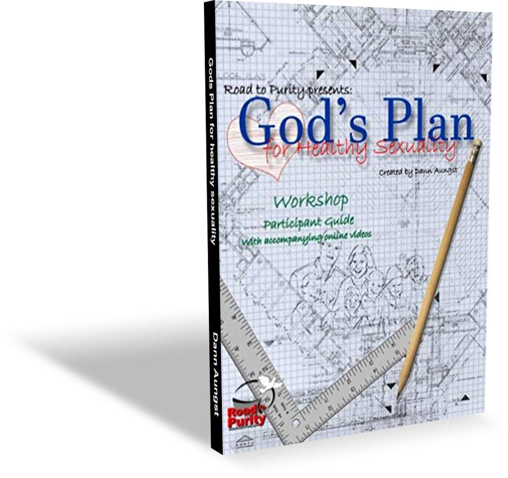 God's Plan for Healthy Sexuality (b)  130pgs - author Dann Aungst