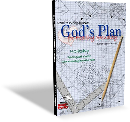 God's Plan for Healthy Sexuality (b)  130pgs - author Dann Aungst
