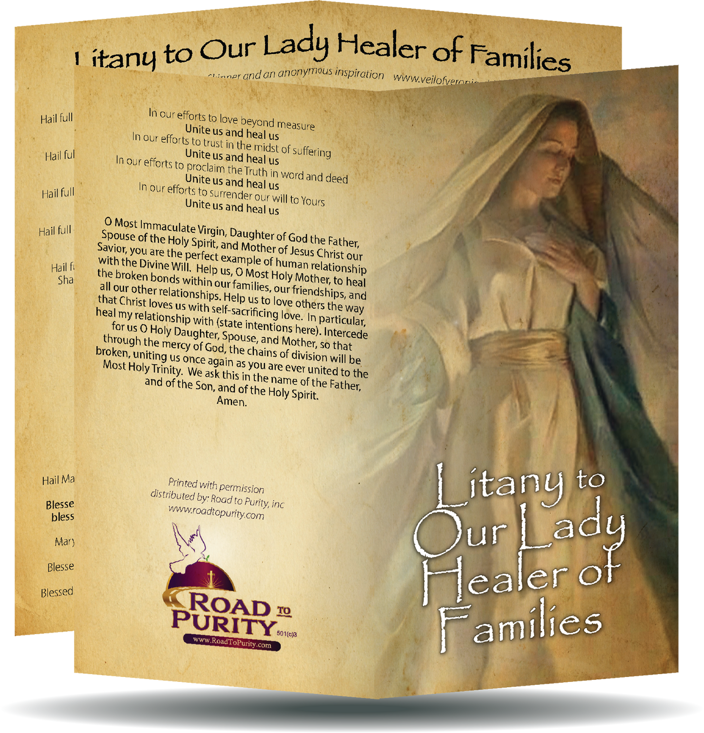 Litany to Our Lady Healer of Families  - Prayer Card / 3" x 6" folded
