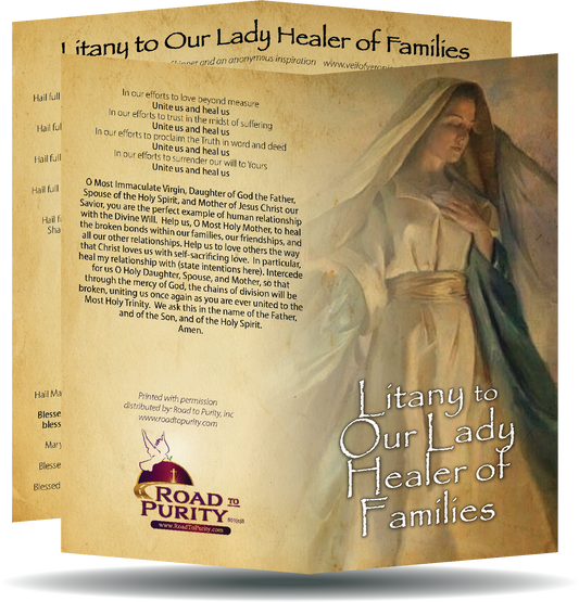 Litany to Our Lady Healer of Families  - Prayer Card / 3" x 6" folded