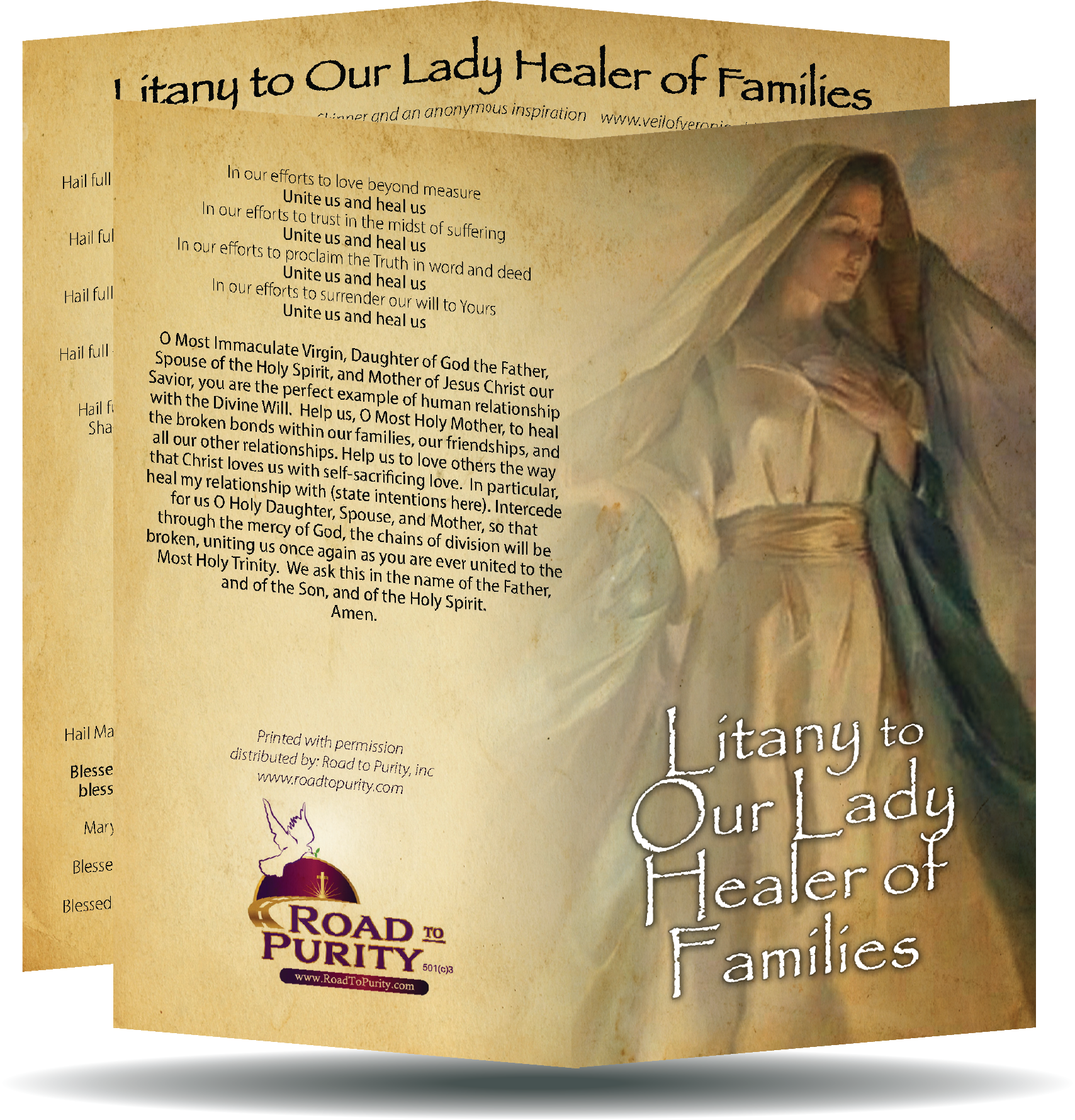 Litany to Our Lady Healer of Families  - Prayer Card / 3" x 6" folded